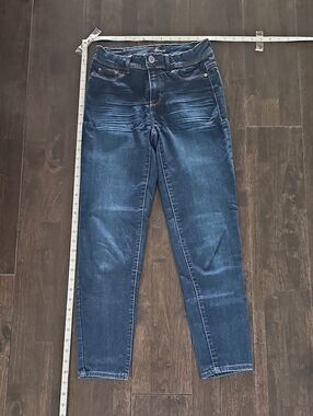 Jordache Indigo Skinny Stretch Jeans